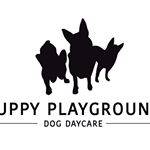 Puppy Playground Profile Picture
