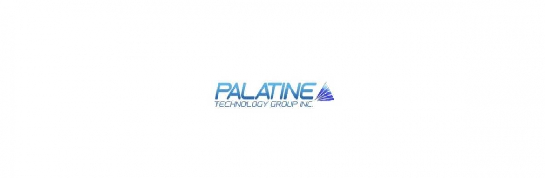 Palatine Technology Group Cover Image