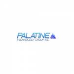 Palatine Technology Group Profile Picture