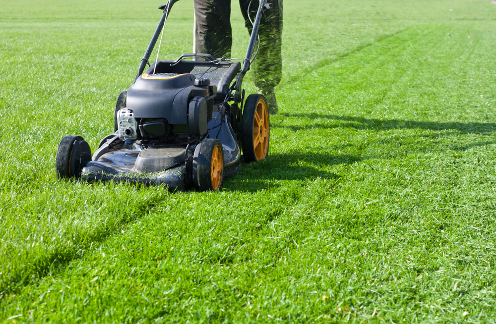 Tips for Choosing Efficient Lawn Mowing Service in Auckland – Lifestyle Lawns