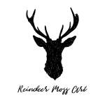 Reindeer Moss Art Profile Picture