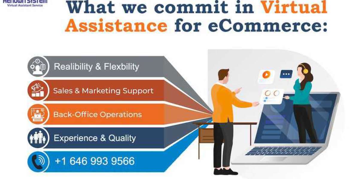 Ecommerce virtual assistant | Renown System