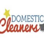 Domestic Cleaning London Profile Picture