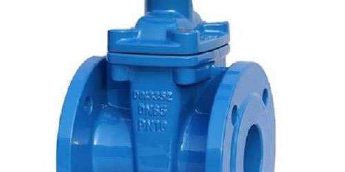 Gate Valve Market Analysis and Outlook Report