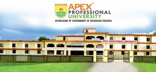 Apex Professional University Tirap