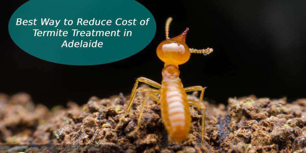 A Best Way to Reduce Cost of Termite Treatment in Adelaide