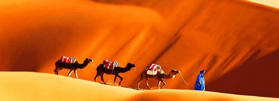 Best Of Morocco Tours Cover Image