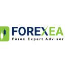 Forexa Profile Picture