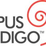 Opus Indigo Designs Profile Picture