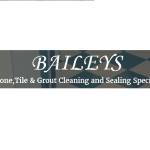 Baileys Cleaning Services Ltd Profile Picture