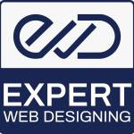 Expert Web Designing Profile Picture