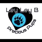 leyleyb precious Profile Picture