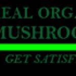 Real Organic Mushrooms Profile Picture