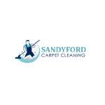 sandyfordcar petcleaning Profile Picture