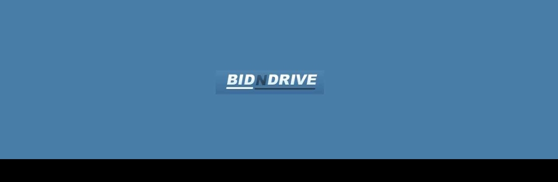 Bidn drive Cover Image
