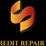 Superior credit service Profile Picture