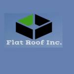Flat Roof InC Profile Picture