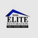 Texas Elite Restoration Profile Picture