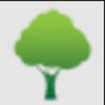 Somerville Tree Service Pros Profile Picture