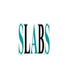 SLABS Engineering Private Limited Profile Picture