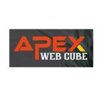 Apex Web Cube Profile Picture