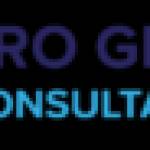 Pro Global Consultancy Profile Picture