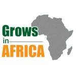 growsin africa Profile Picture
