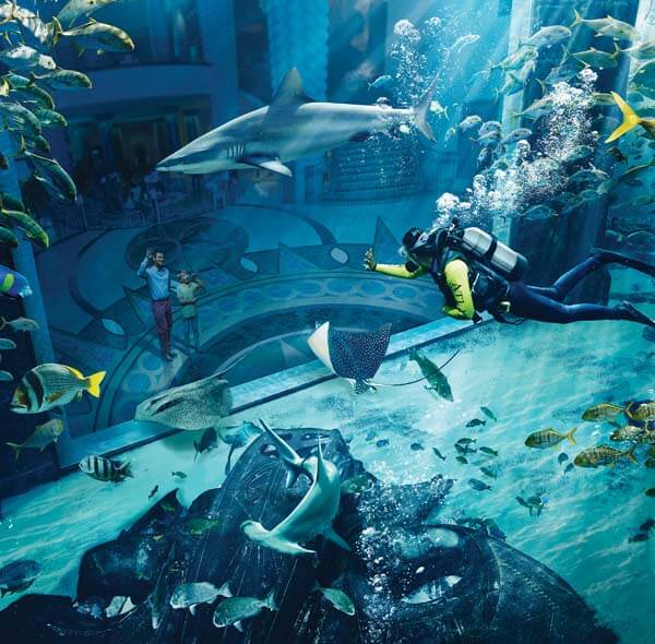 Lost Chambers Aquarium Dubai Tickets - Mayra Tours