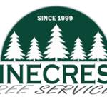 Pinecresttree Services Profile Picture