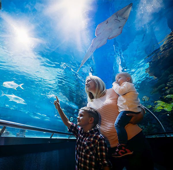 National Aquarium Abu Dhabi Tickets and Offers 2023