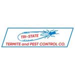 tristate termite Profile Picture