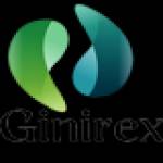 Ginirex Digital Marketing Profile Picture