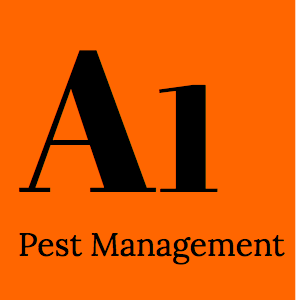 Cockroach Pest Control Brisbane - A1 Pest Management