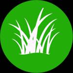 green grass Profile Picture