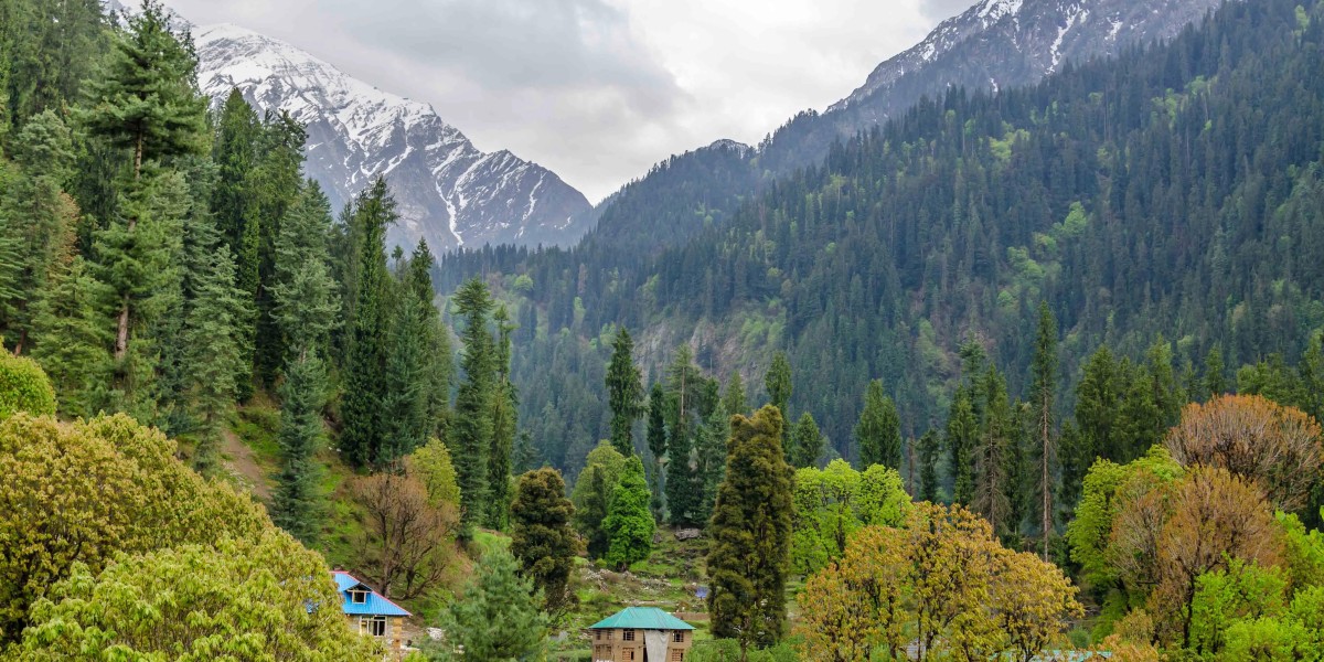  Grahan Trek: Unveiling the Hidden Gem of Himachal Pradesh 