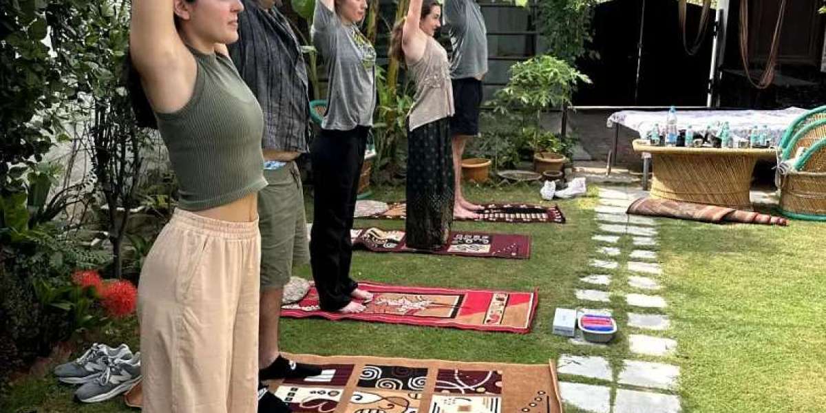 daily drop yoga classes