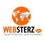 Websterz Technologies Profile Picture