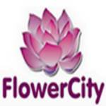 Flower City Profile Picture
