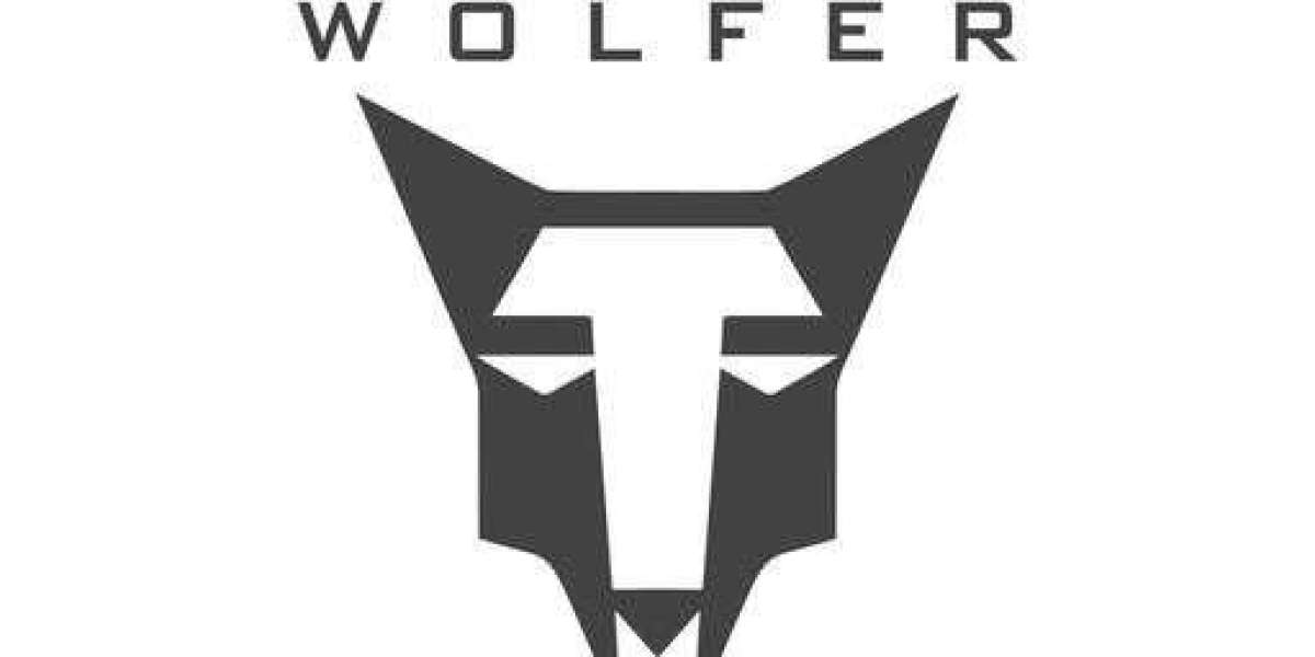 Explore and Shop Online for English Willow Cricket Bats at the Best Price from WOLFER