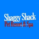 Shaggy Shack Pet Resort Profile Picture