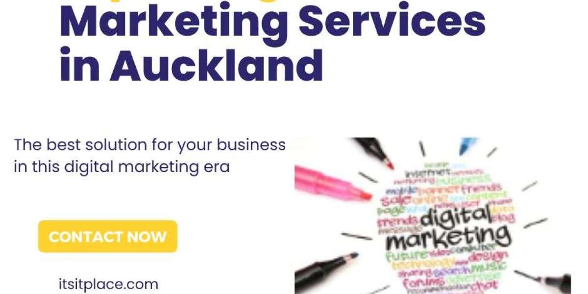 ITS IT PLACE – Your Trusted Digital Marketing & Web Design Partner in Auckland
