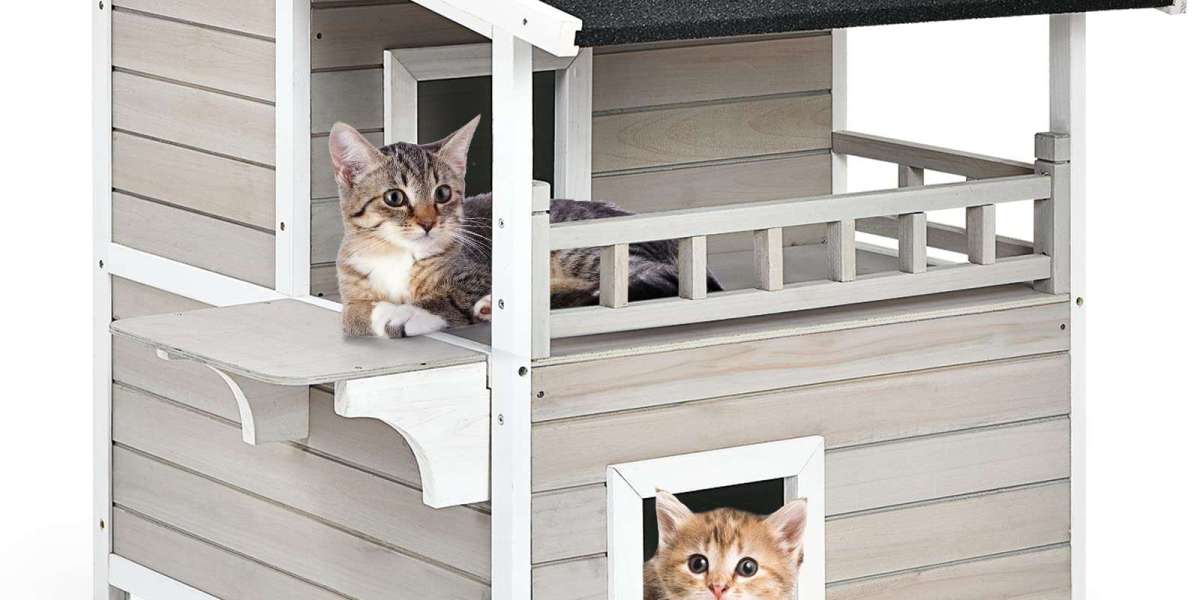 Cute Cat House: A Cozy Retreat for Your Feline Friends