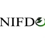 nifdo beauty Profile Picture