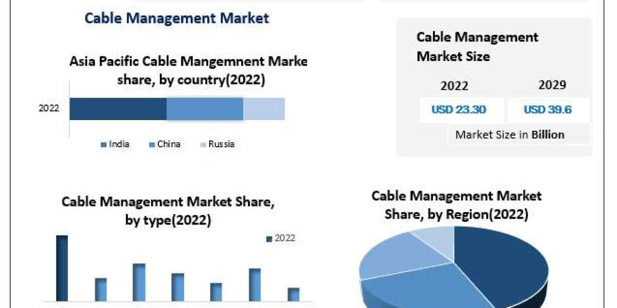 "The Cable Management Market Landscape: Predictions for 2022-2029"