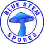 Blue Stem Spores Profile Picture