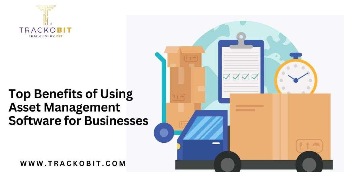 Top Benefits of Using Asset Management Software for Businesses