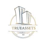 True Assets Consultancy Profile Picture