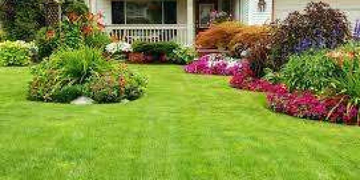 Tree Service Tyler TX: Your Tree Care Solution