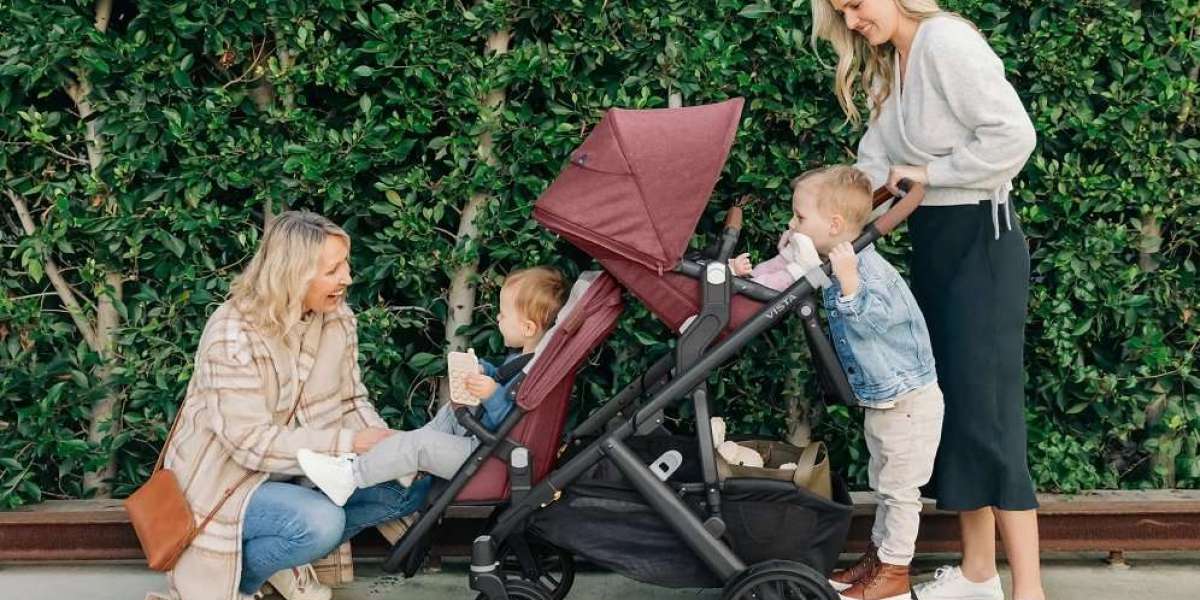 The UPPAbaby Vista: Elevating Your Parenting Game with Style and Versatility