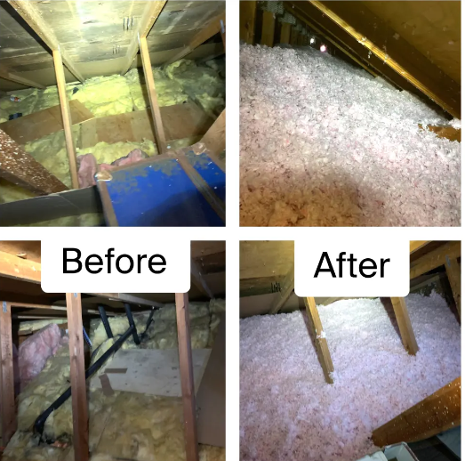 Rodent Exclusion: Protecting Your Home in Marysville and Ferndale, WA | A&Z insulation